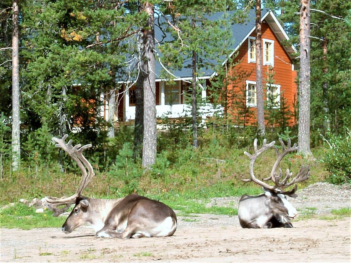 Riekko Chalet Rovaniemi Luaran gambar